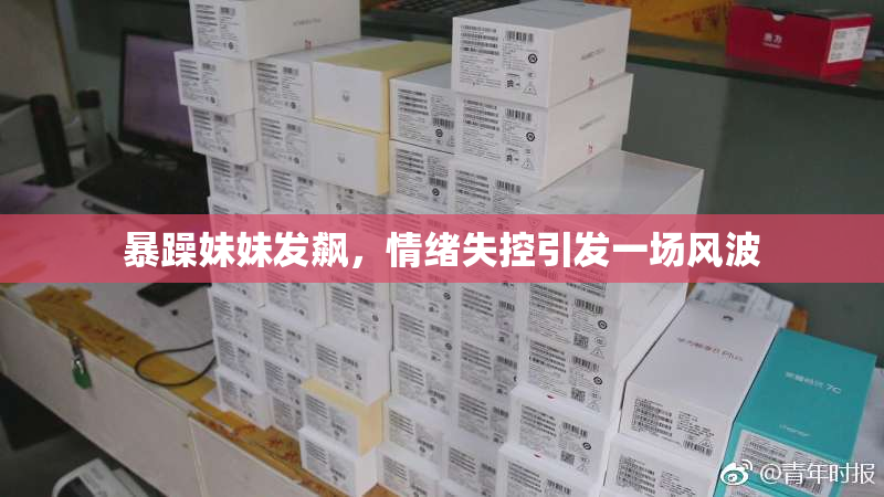 暴躁妹妹发飙，情绪失控引发一场风波