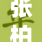 张柏芝重返娱乐圈，展现不变的魅力与风采