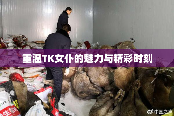 重温TK女仆的魅力与精彩时刻