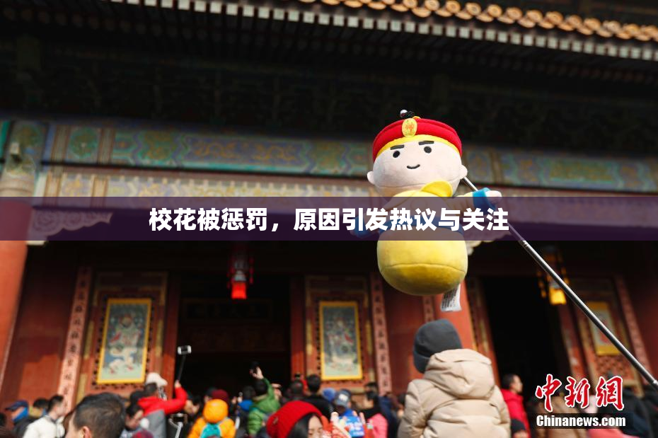 校花被惩罚，原因引发热议与关注