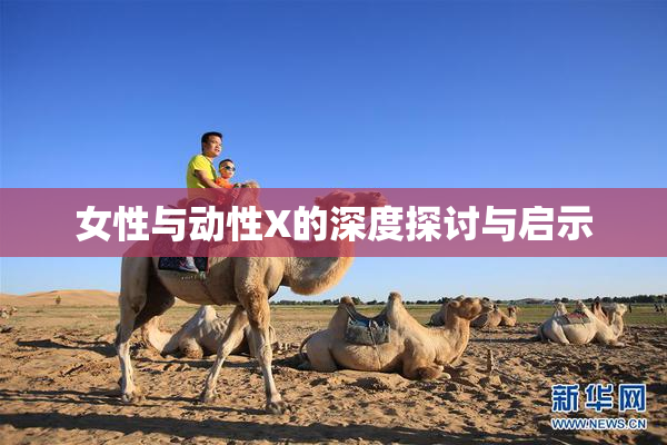 女性与动性X的深度探讨与启示
