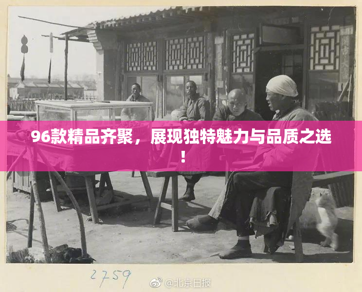 96款精品齐聚，展现独特魅力与品质之选！