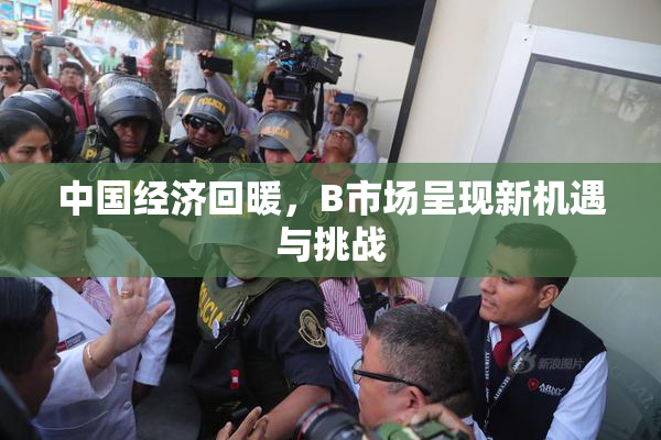 中国经济回暖，B市场呈现新机遇与挑战