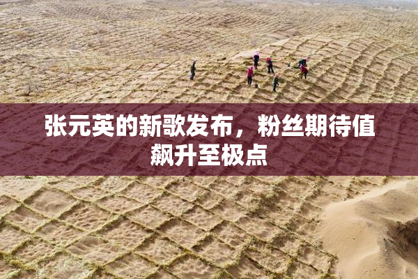 张元英的新歌发布，粉丝期待值飙升至极点