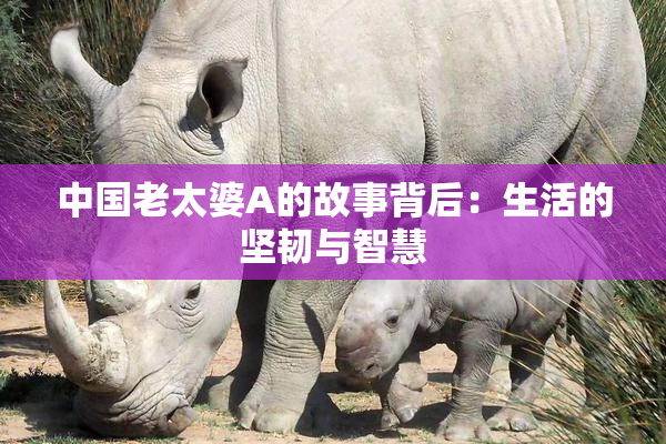 中国老太婆A的故事背后：生活的坚韧与智慧