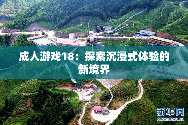 成人游戏18：探索沉浸式体验的新境界
