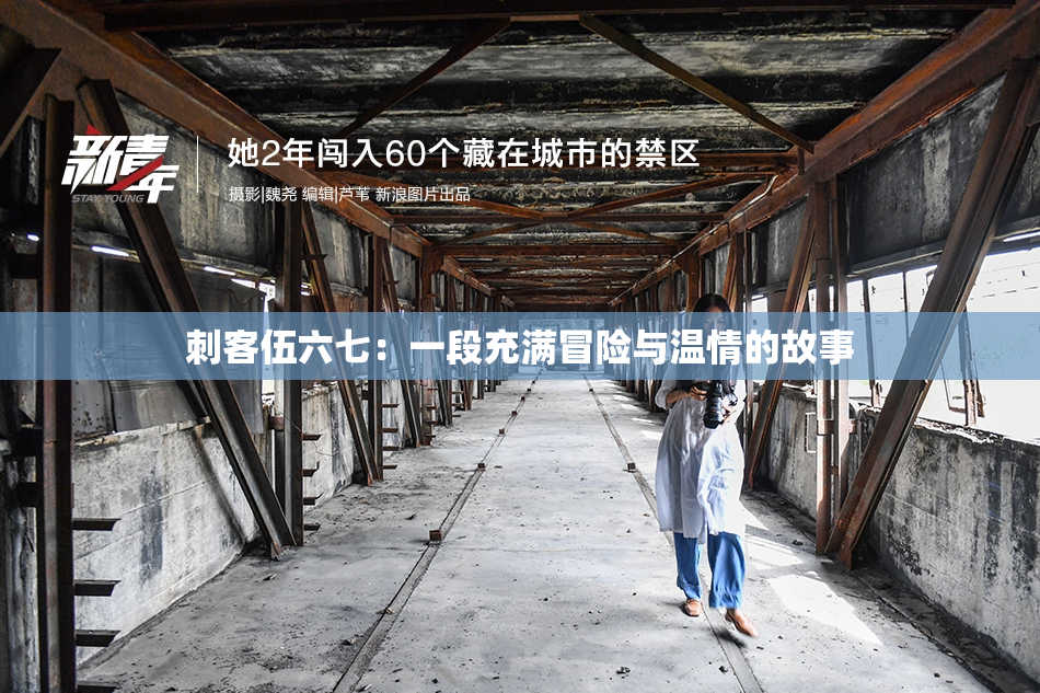 刺客伍六七：一段充满冒险与温情的故事
