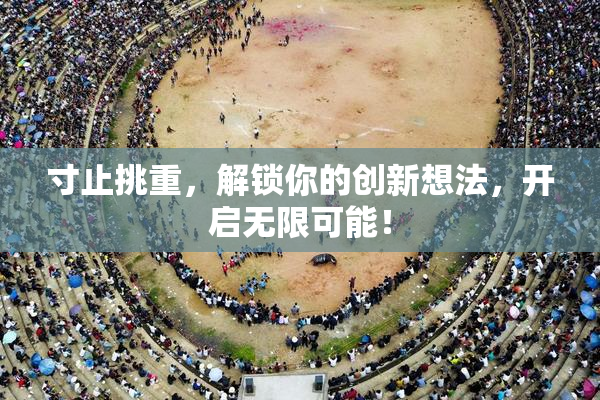 寸止挑重，解锁你的创新想法，开启无限可能！