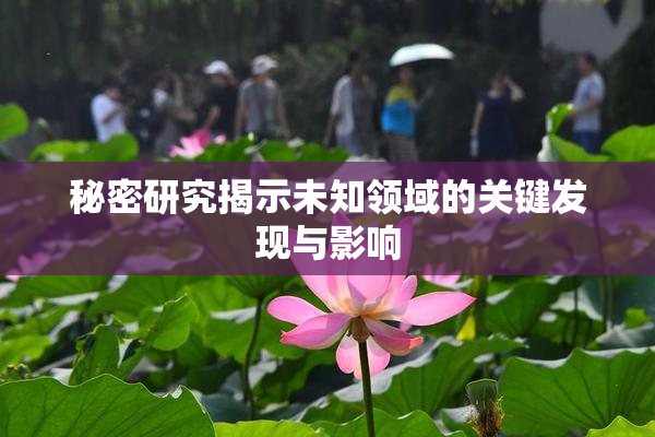 秘密研究揭示未知领域的关键发现与影响