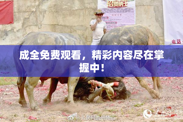 成全免费观看，精彩内容尽在掌握中！