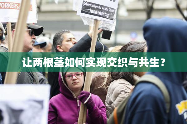 让两根茎如何实现交织与共生？