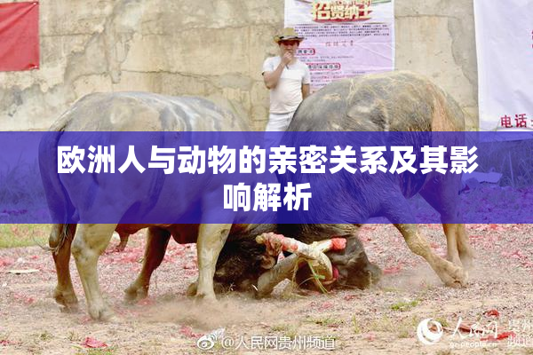 欧洲人与动物的亲密关系及其影响解析
