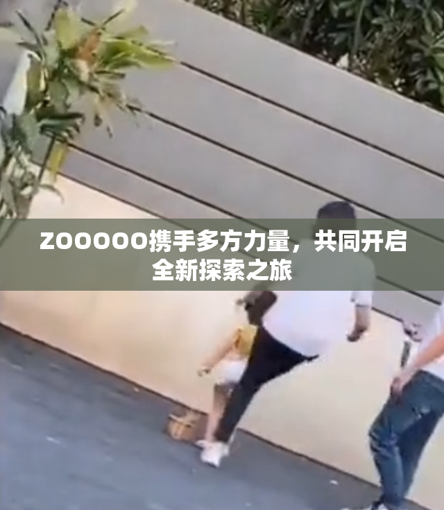 ZOOOOO携手多方力量，共同开启全新探索之旅