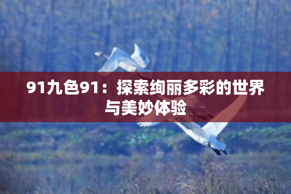 91九色91：探索绚丽多彩的世界与美妙体验