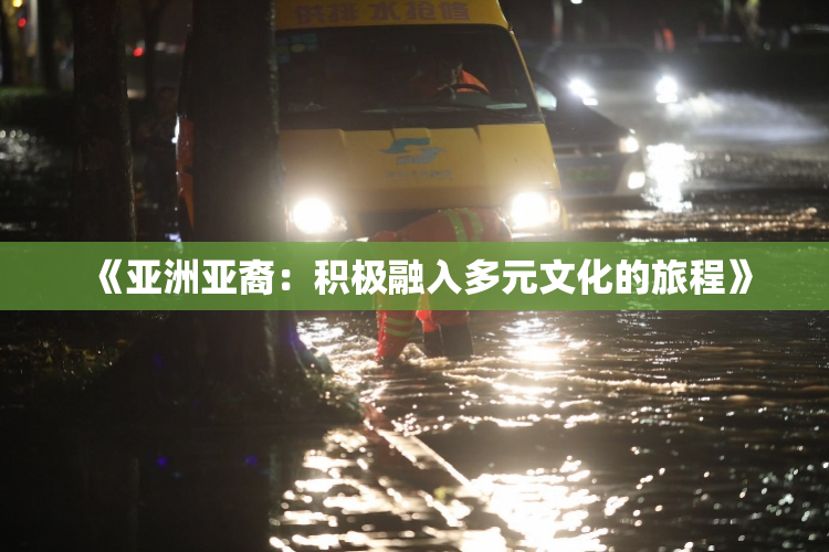 《亚洲亚裔：积极融入多元文化的旅程》