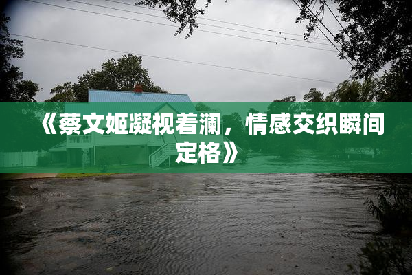 《蔡文姬凝视着澜，情感交织瞬间定格》