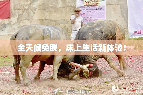 全天候免脱，床上生活新体验！
