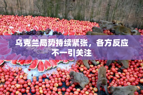 乌克兰局势持续紧张，各方反应不一引关注