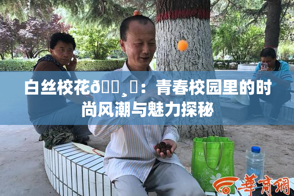 白丝校花🌸‌：青春校园里的时尚风潮与魅力探秘