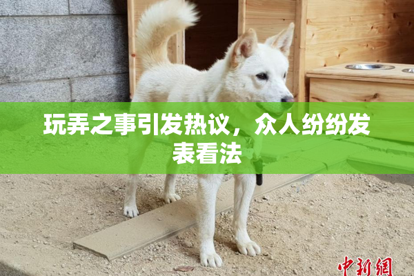 玩弄之事引发热议，众人纷纷发表看法