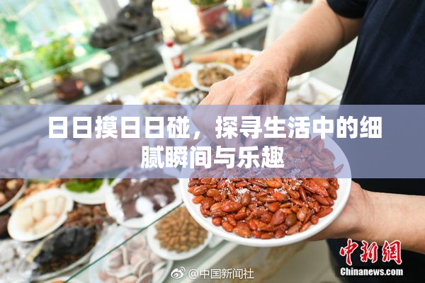 日日摸日日碰，探寻生活中的细腻瞬间与乐趣