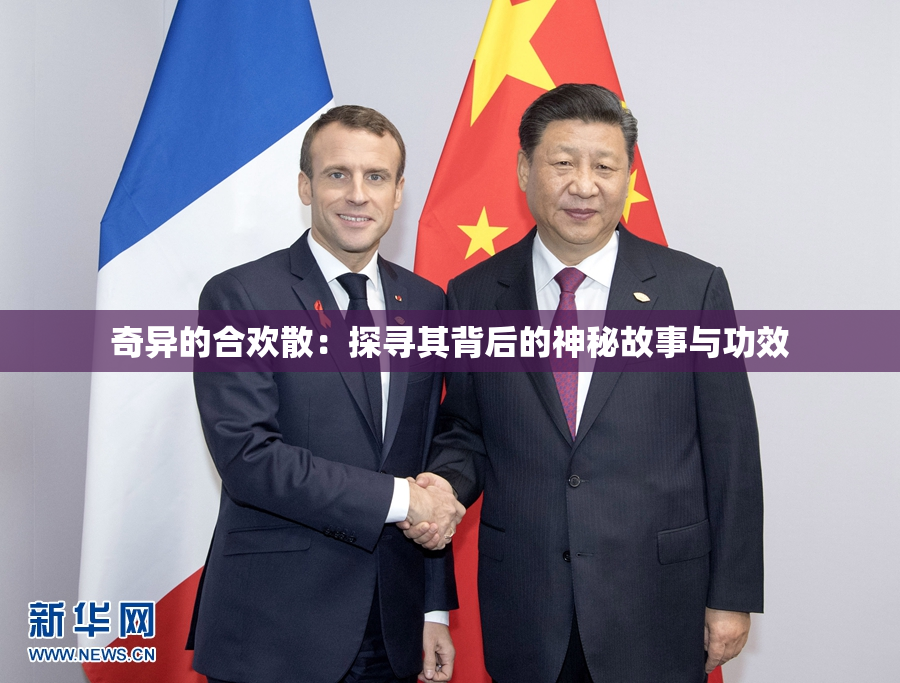 奇异的合欢散：探寻其背后的神秘故事与功效