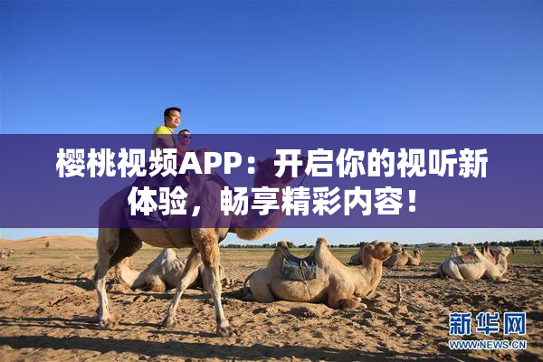 樱桃视频APP：开启你的视听新体验，畅享精彩内容！
