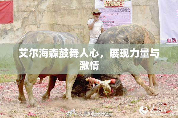 艾尔海森鼓舞人心，展现力量与激情