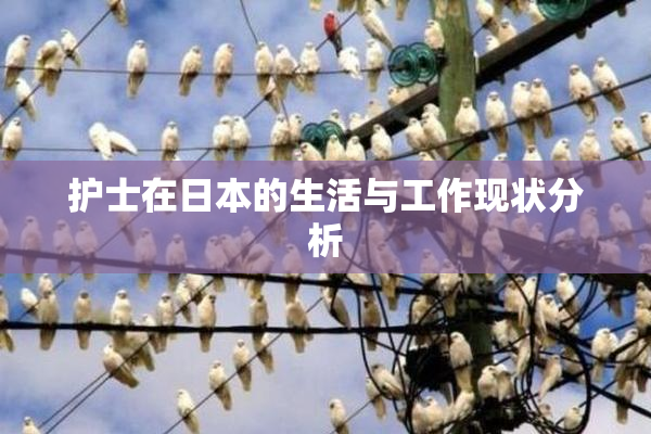 护士在日本的生活与工作现状分析