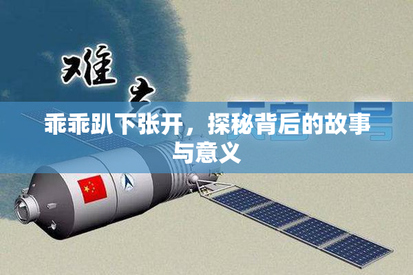 乖乖趴下张开，探秘背后的故事与意义
