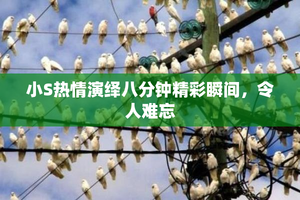 小S热情演绎八分钟精彩瞬间，令人难忘