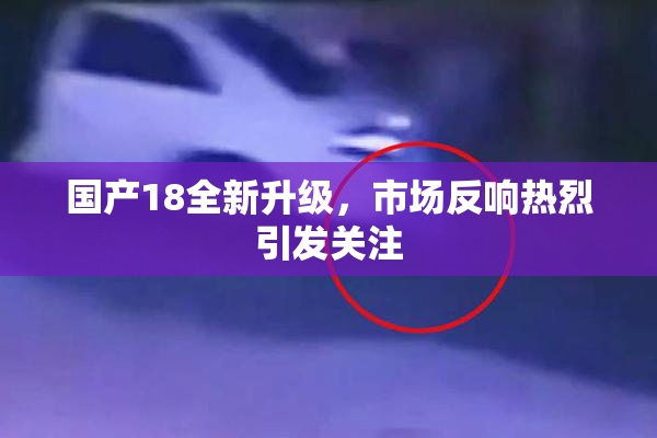 国产18全新升级，市场反响热烈引发关注