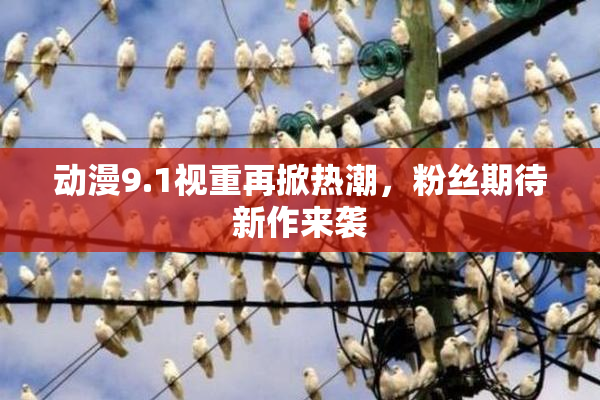 动漫9.1视重再掀热潮，粉丝期待新作来袭