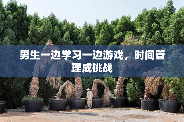 男生一边学习一边游戏，时间管理成挑战