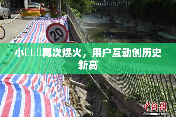 小藍視頻再次爆火，用户互动创历史新高