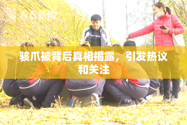 骇爪被背后真相揭露，引发热议和关注