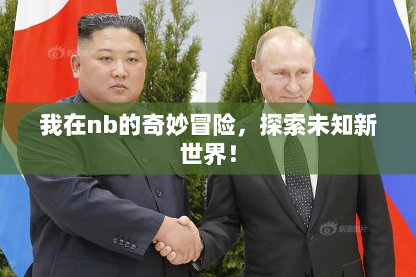我在nb的奇妙冒险，探索未知新世界！