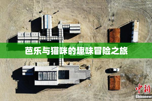 芭乐与猫咪的趣味冒险之旅