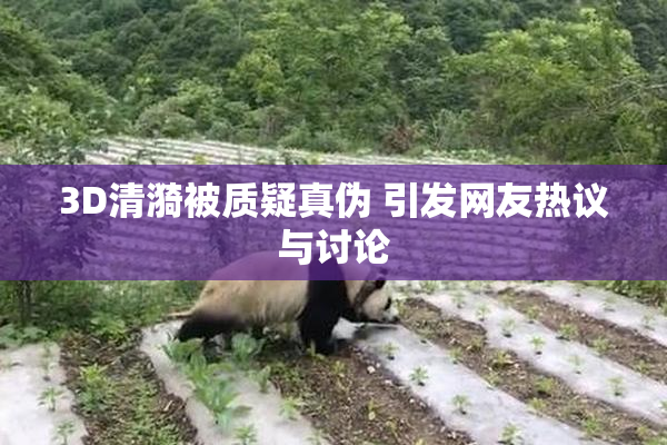 3D清漪被质疑真伪 引发网友热议与讨论