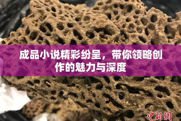 成品小说精彩纷呈，带你领略创作的魅力与深度