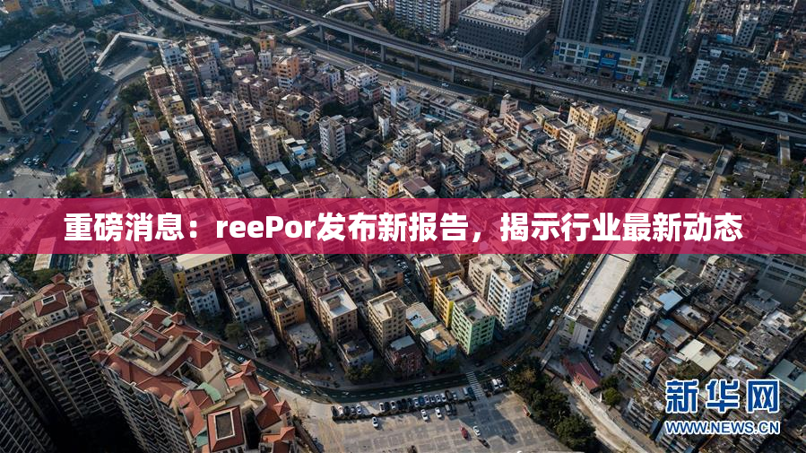 重磅消息：reePor发布新报告，揭示行业最新动态