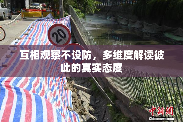 互相观察不设防，多维度解读彼此的真实态度