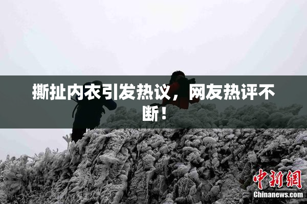 撕扯内衣引发热议，网友热评不断！