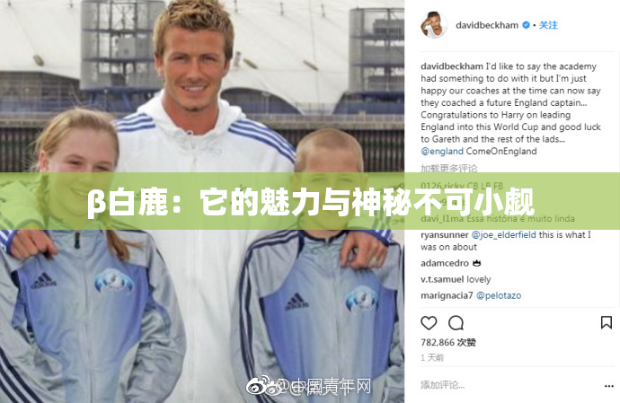 β白鹿：它的魅力与神秘不可小觑