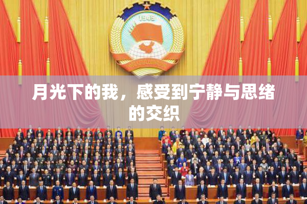 月光下的我，感受到宁静与思绪的交织