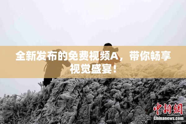 全新发布的免费视频A，带你畅享视觉盛宴！