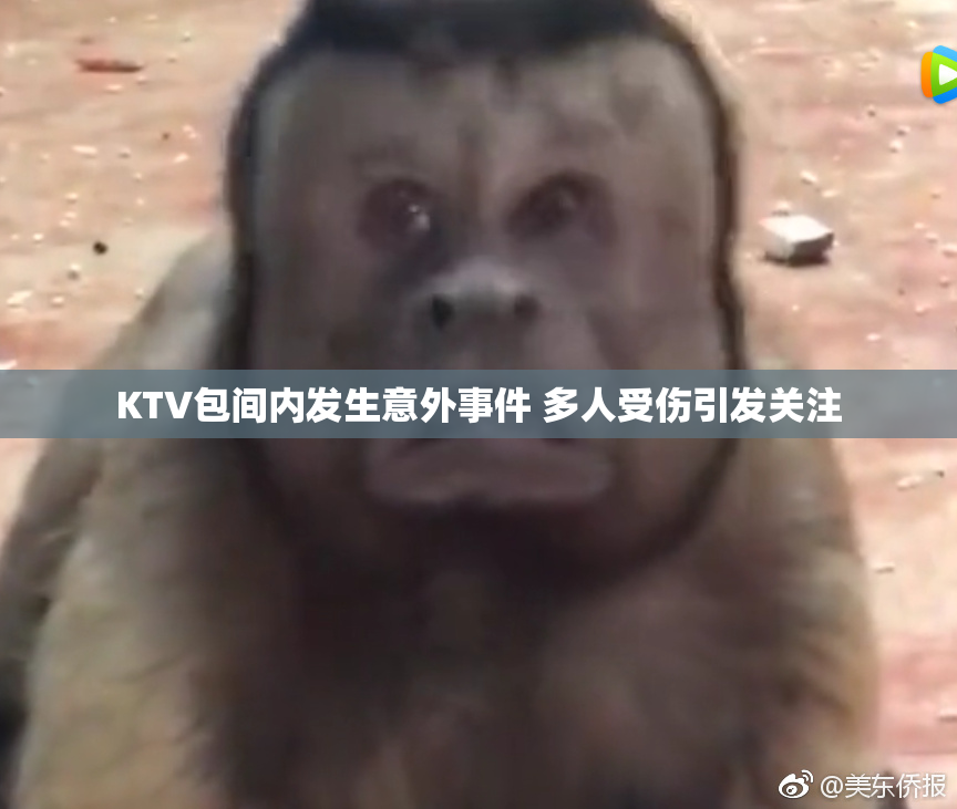 KTV包间内发生意外事件 多人受伤引发关注