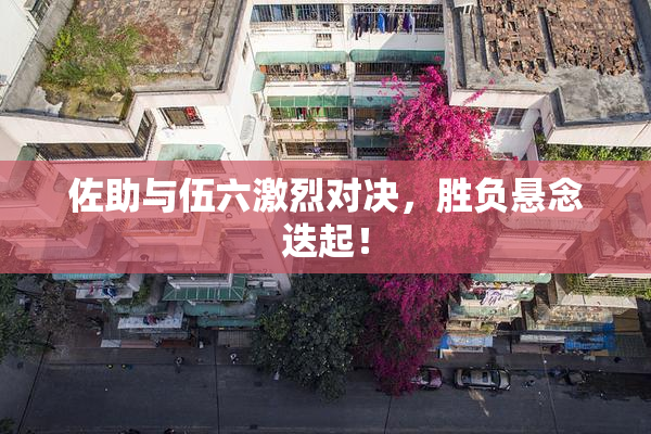 佐助与伍六激烈对决，胜负悬念迭起！