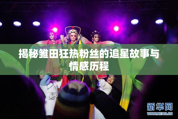 揭秘雏田狂热粉丝的追星故事与情感历程