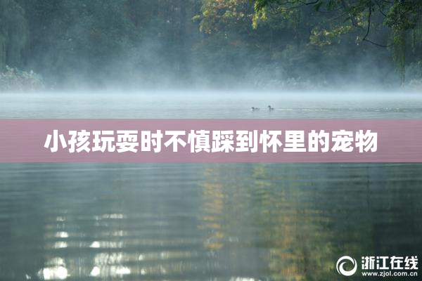 小孩玩耍时不慎踩到怀里的宠物